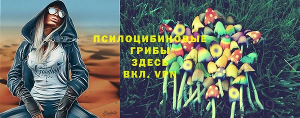 амф Арсеньев