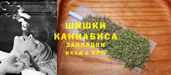 амф Арсеньев