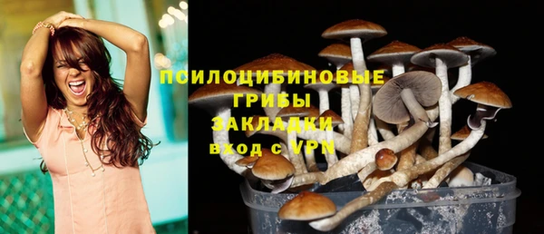 амф Арсеньев